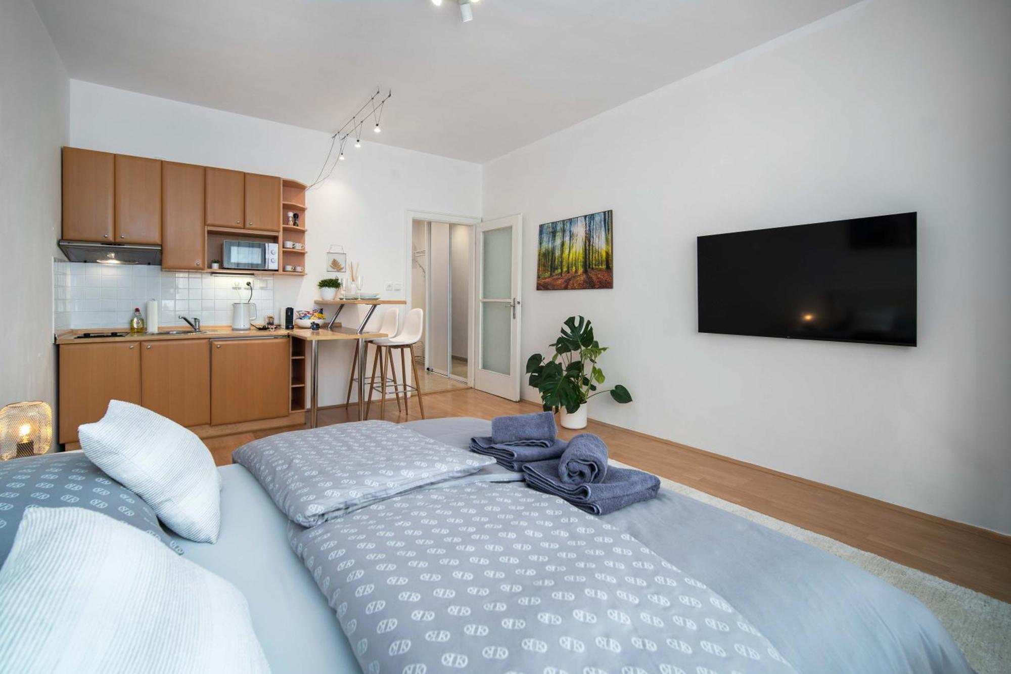Best Location Apartment Air-Conditioned Братислава Екстериор снимка